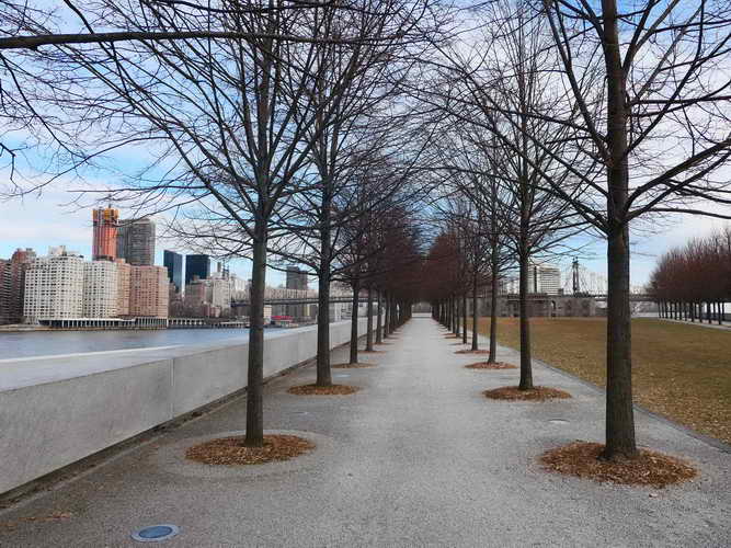NYC_2020-01-27 09-14-39_P1070900